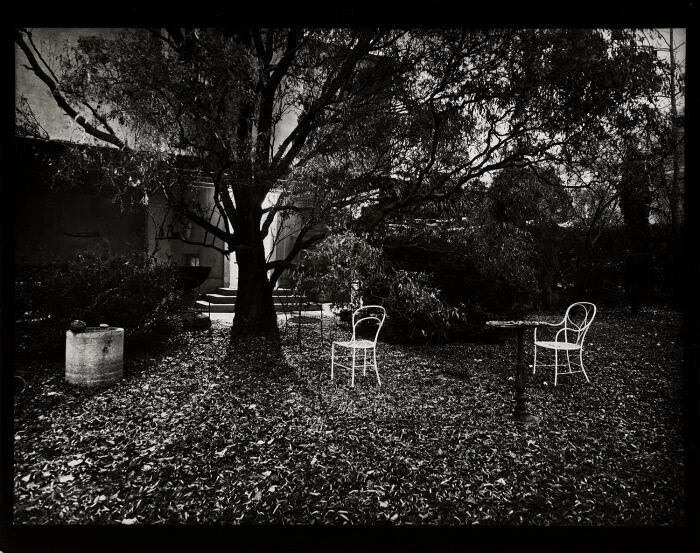 Josef Sudek, from the Magic Garden series (c. 1950s)
