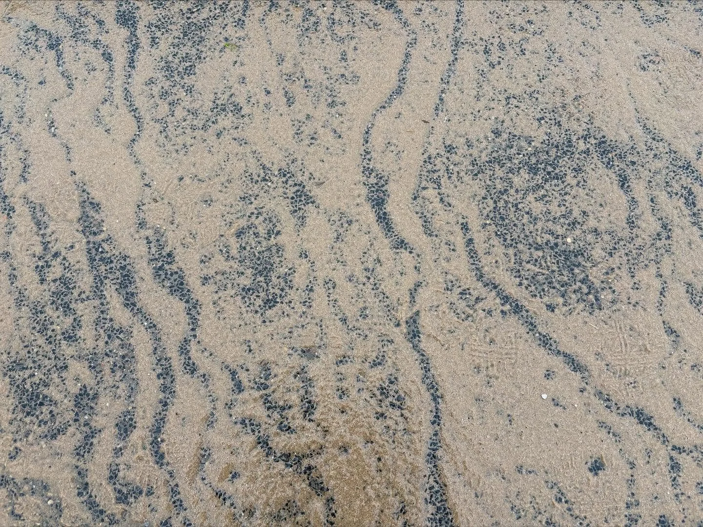 Some lovely textures from my beach walk yesterday - despite the wind and rain! 
.
.
.
.
.
.
#beach #beachwalk #photowalk #textures #pattern #coast #mindfulnesspractice #attentiveart #sophiehannahwalker