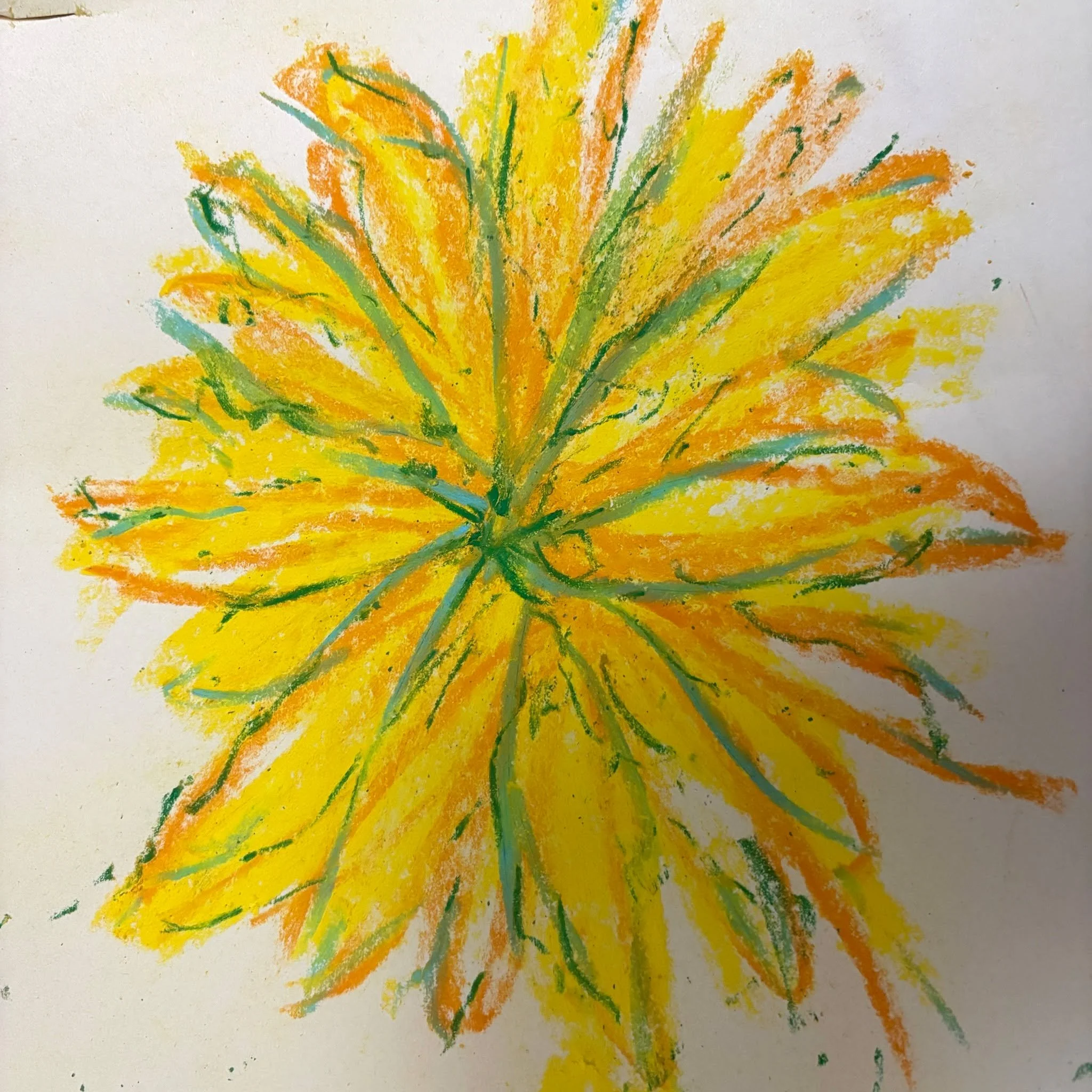Every week in my Creativity for Life Substack I share a therapeutic creative exercise. It might be a drawing, photo or writing. It is designed to make you think, feel better, learn something about yourself and bring an element of joy. Creativity is p