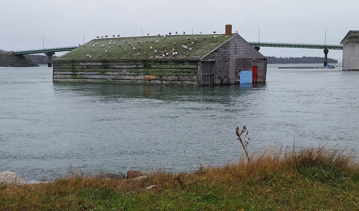 King Tide in Lubec courtesy Maine Island Institute.jpg