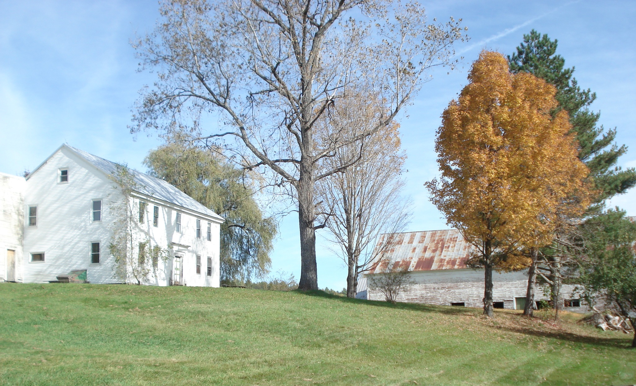 Exterior with barn.jpg