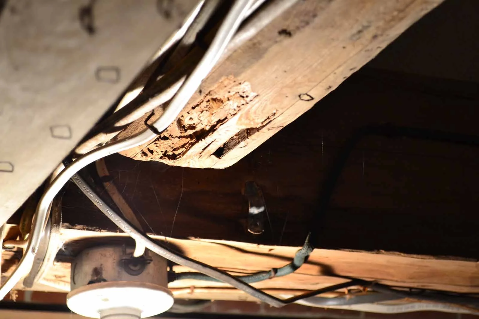 Perkins Rotting Beams.jpg