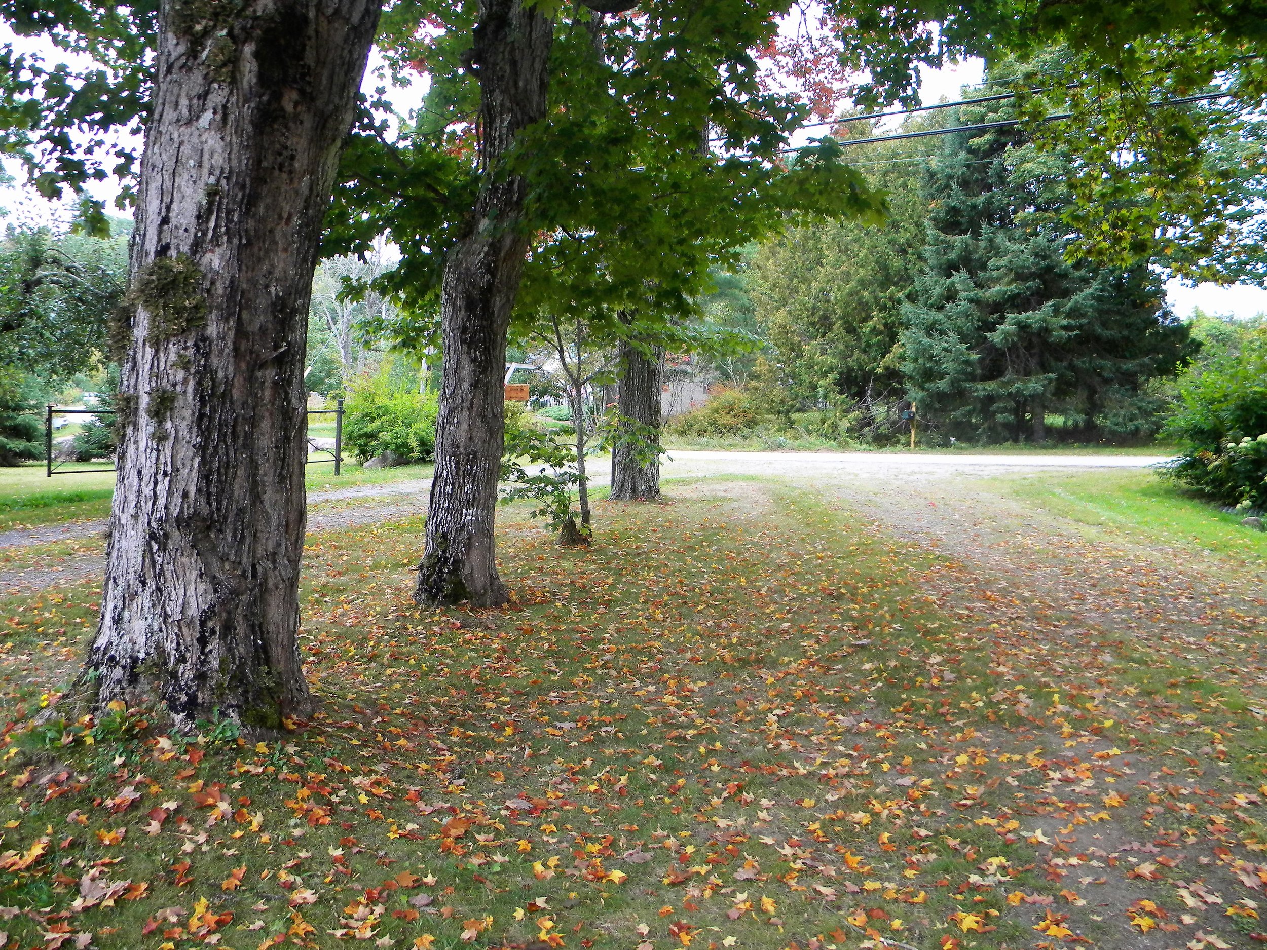 McGlashan-Nickerson Site Entry (NPS site to L).jpg