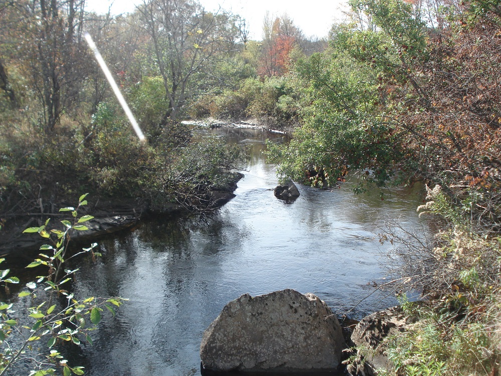 RS DSC09729.jpg