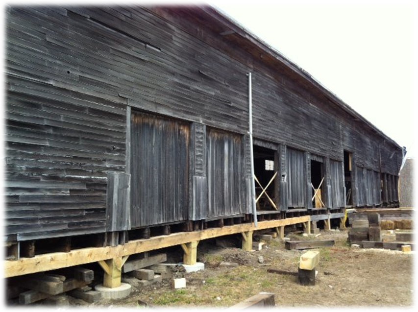 Picture1.jpg