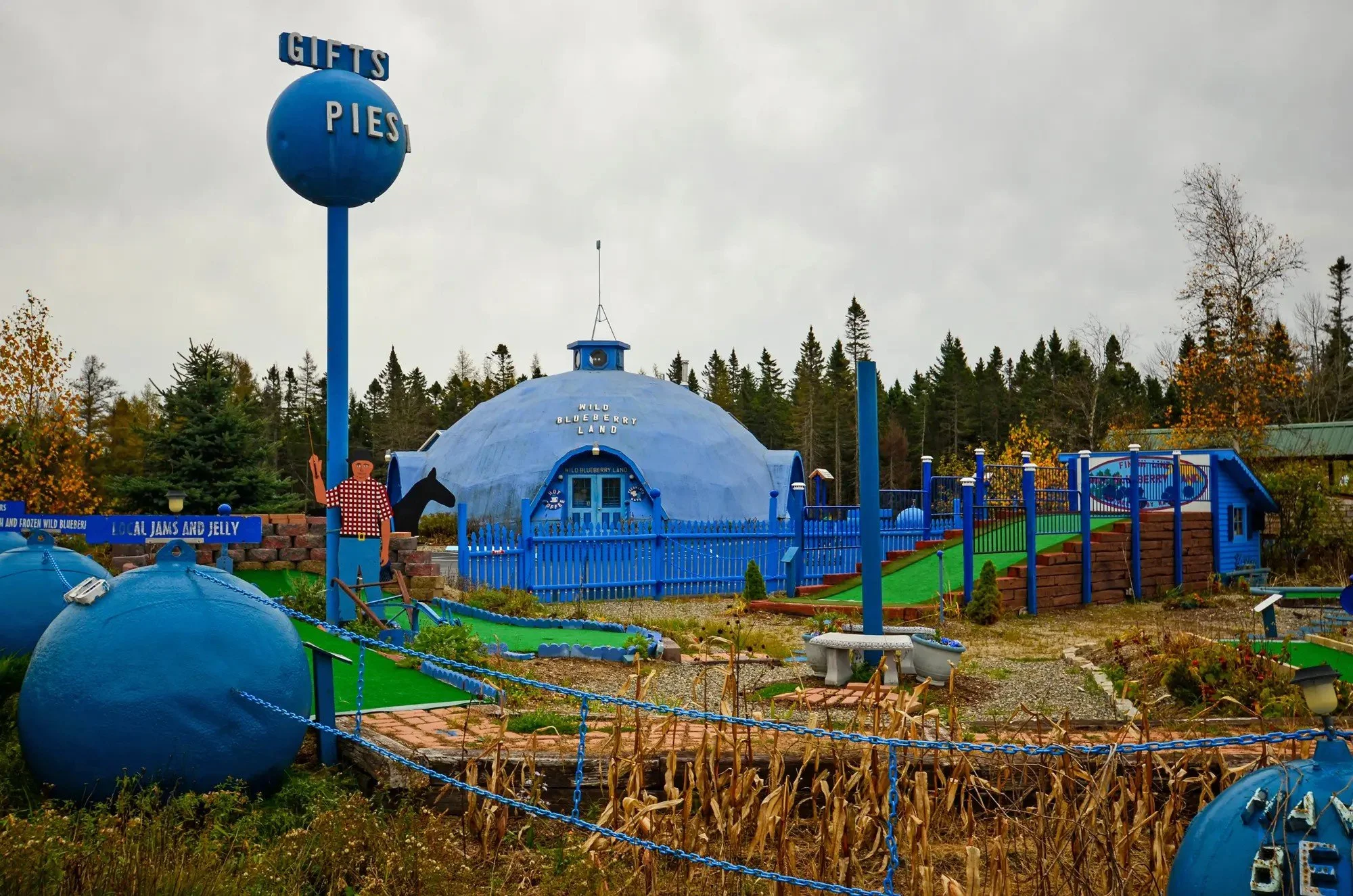 Wild Blueberry Land 2.jpg