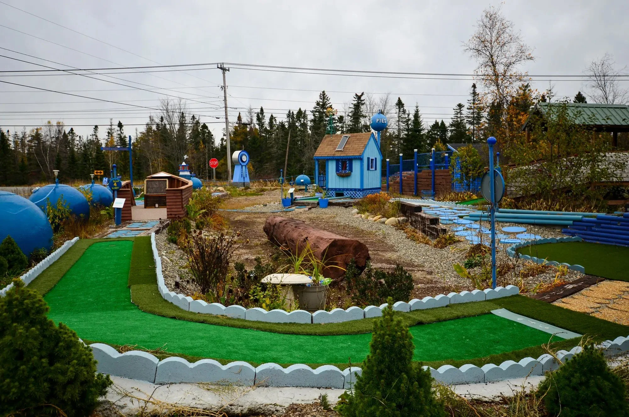 Wild Blueberry Land 7.jpg