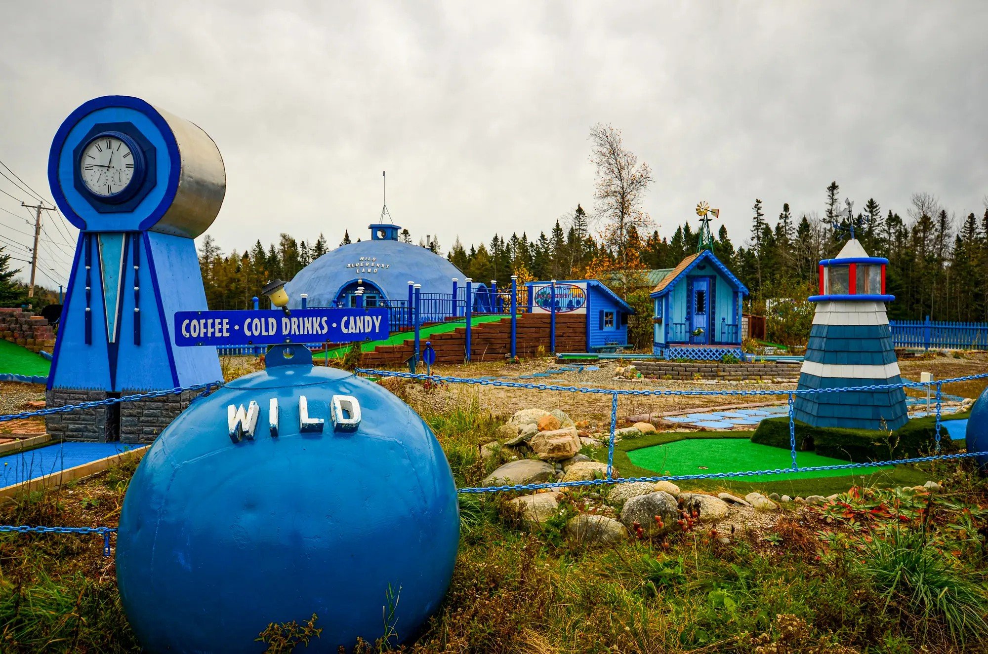 Wild Blueberry Land.jpg