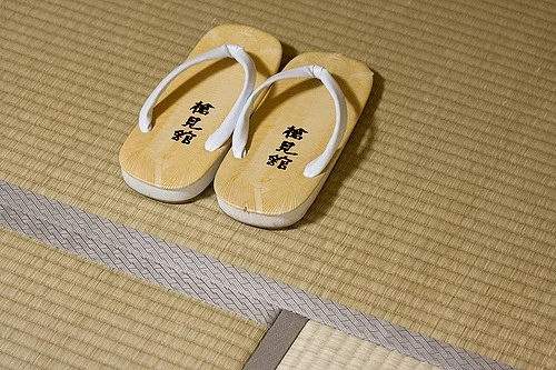 A picture of tatami. Credit: Edward Dalmulder/Creative Commons.