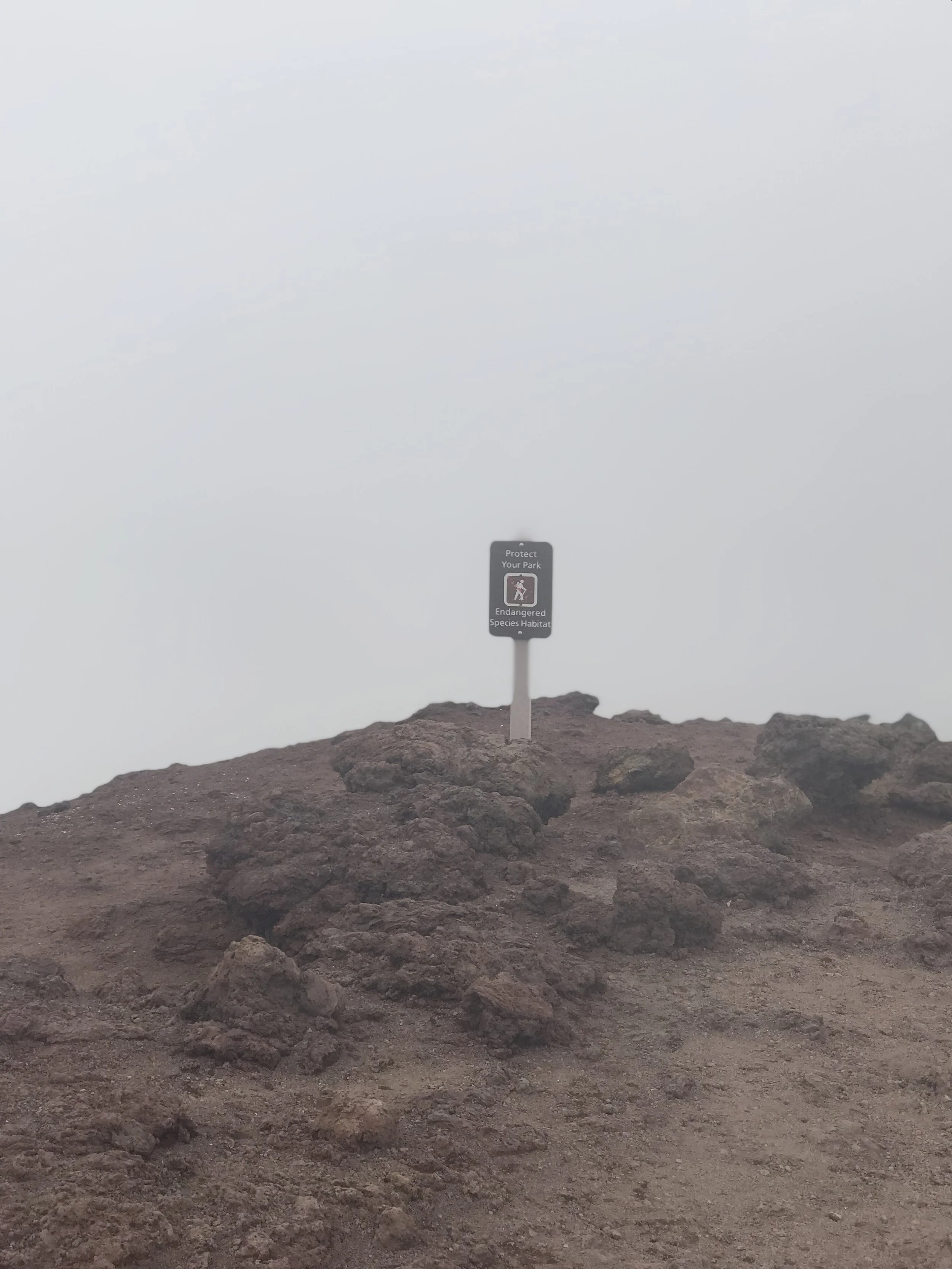 haleakala2.jpg