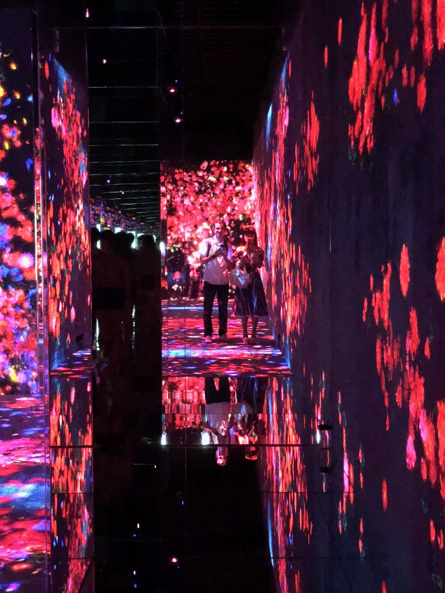 Me and my husband in Borderless World, seemingly suspended in a floral universe.