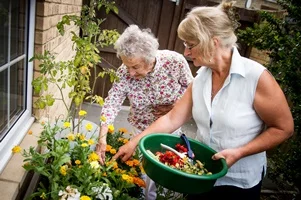 TURNING CARE HOME GARDENS INTO LIVELY HUBS OF COMMUNITY ACTIVITY