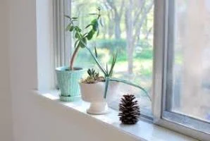PRESSURE? WHAT PRESSURE? (A VIEW FROM TODAY'S WINDOW LEDGE)