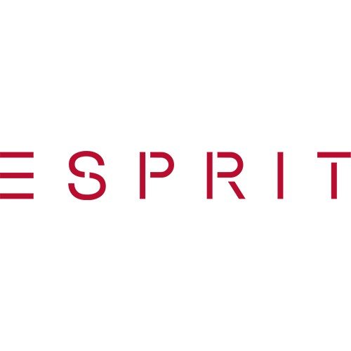 Logo Esprit.jpg