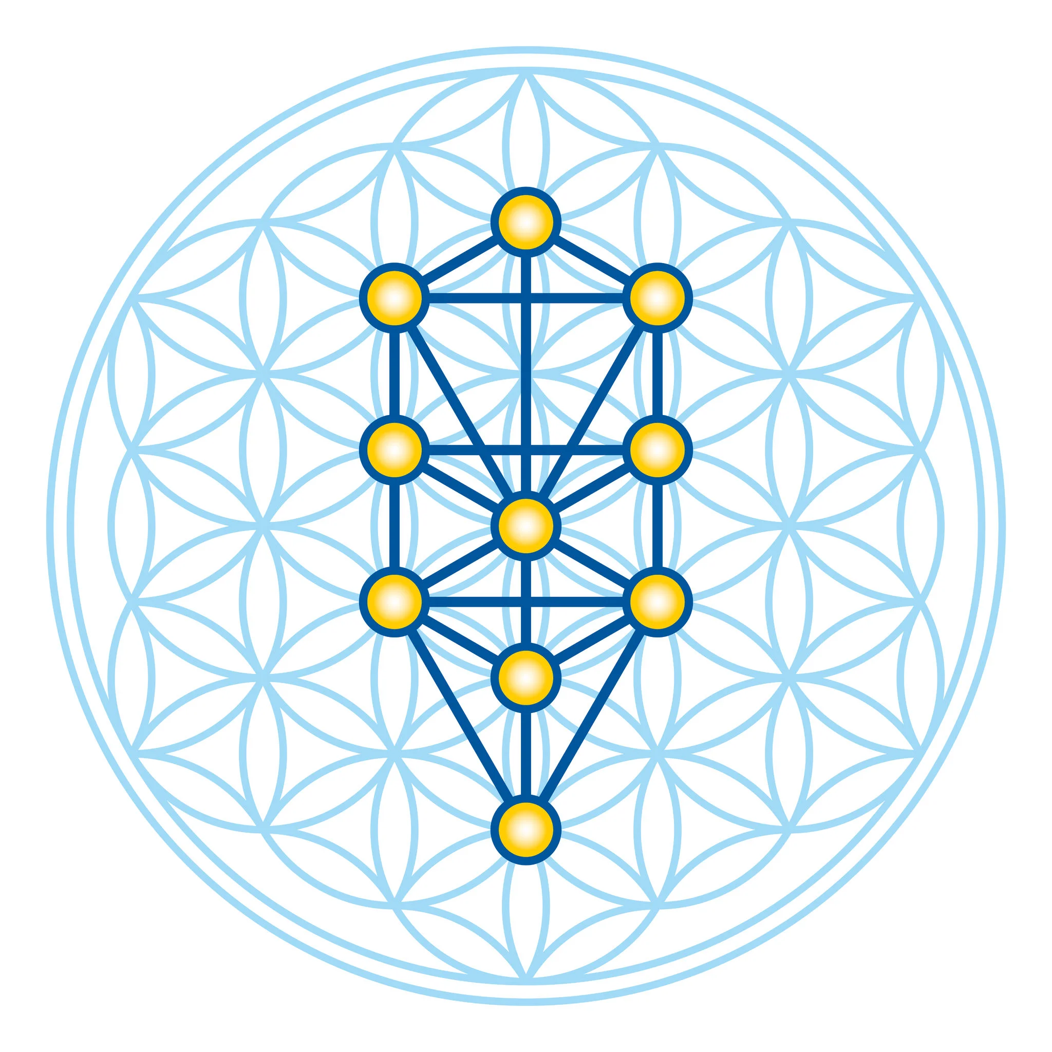 Tree of Life 1.jpg