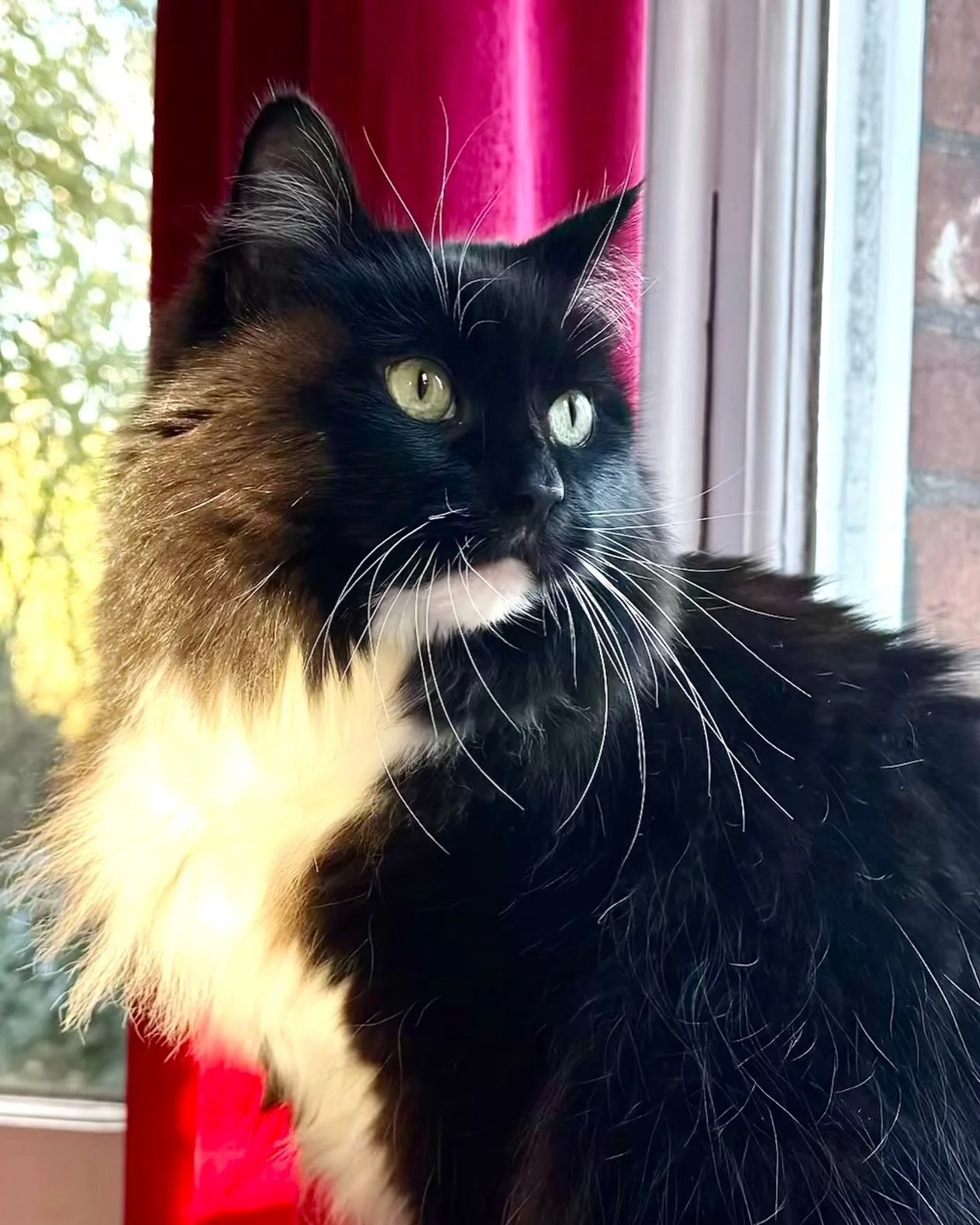 Nancy in some winter sun wishes you a happy Friday! Have a great day everyone 🥰🎉