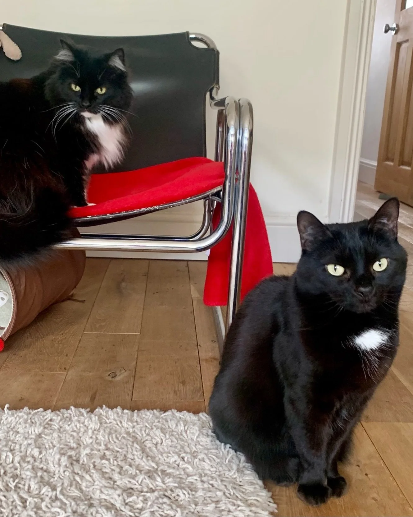 Happy #throwbackthursday everyone, love Nancy and Angel Pickle ❤️