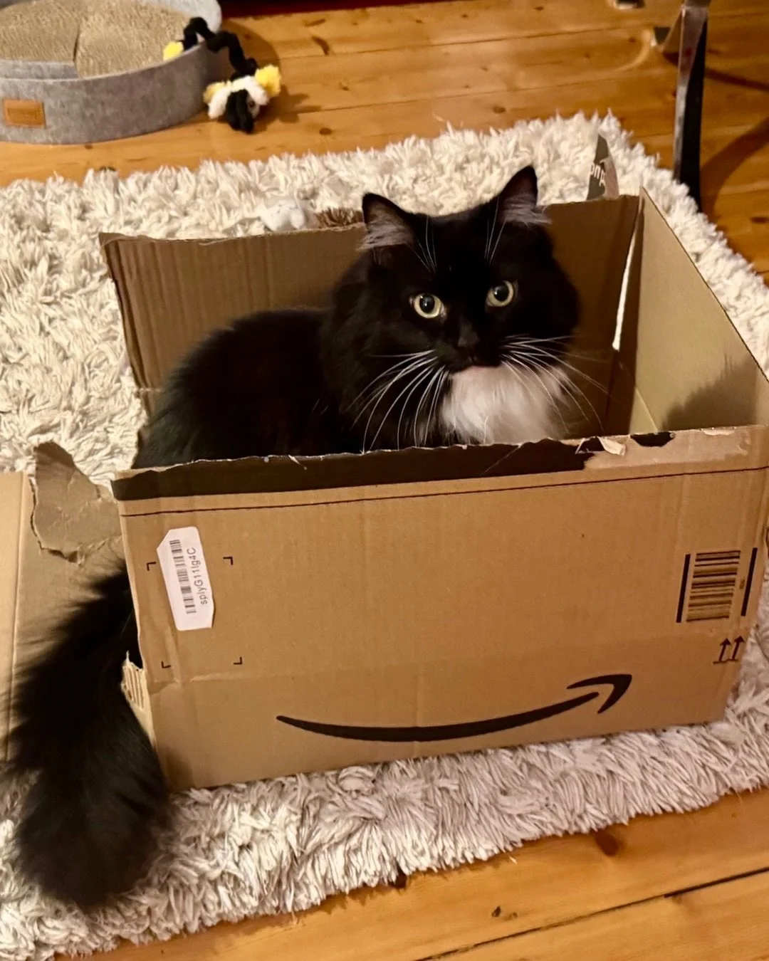 Think I am a day late! 😹 Happy Monday furiends, love Nancy 🐈&zwj;⬛💕📦