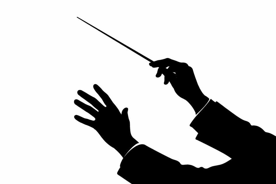 Orchestrating Success: How High-Performing Programs Leverage Complexity