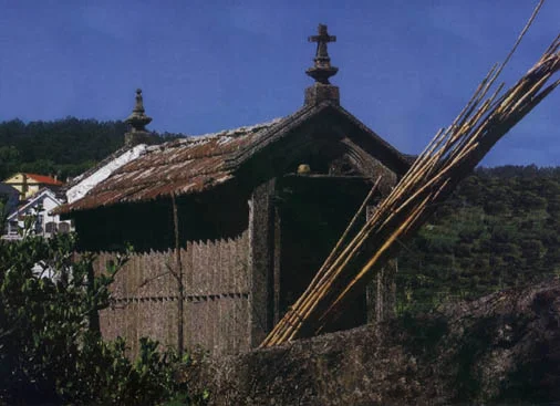 agria.jpg