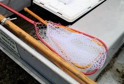 Nets.jpg