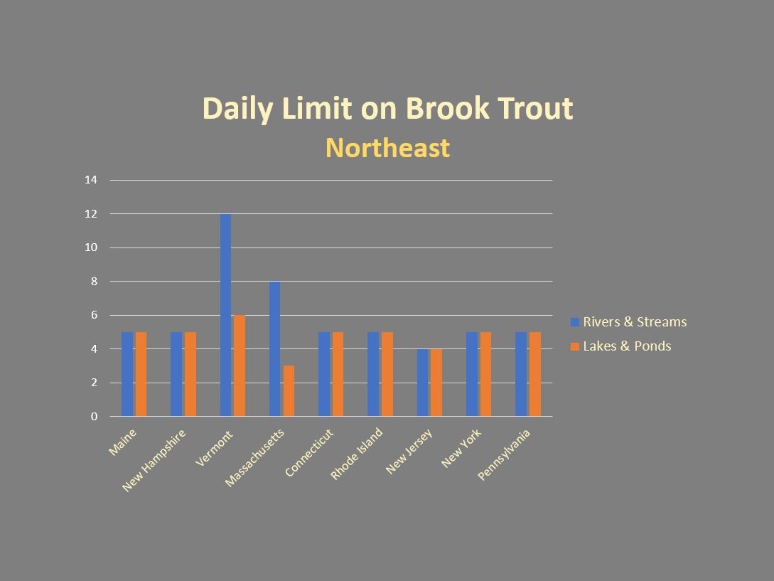 Vermont's Daily Limit on Brook Trout