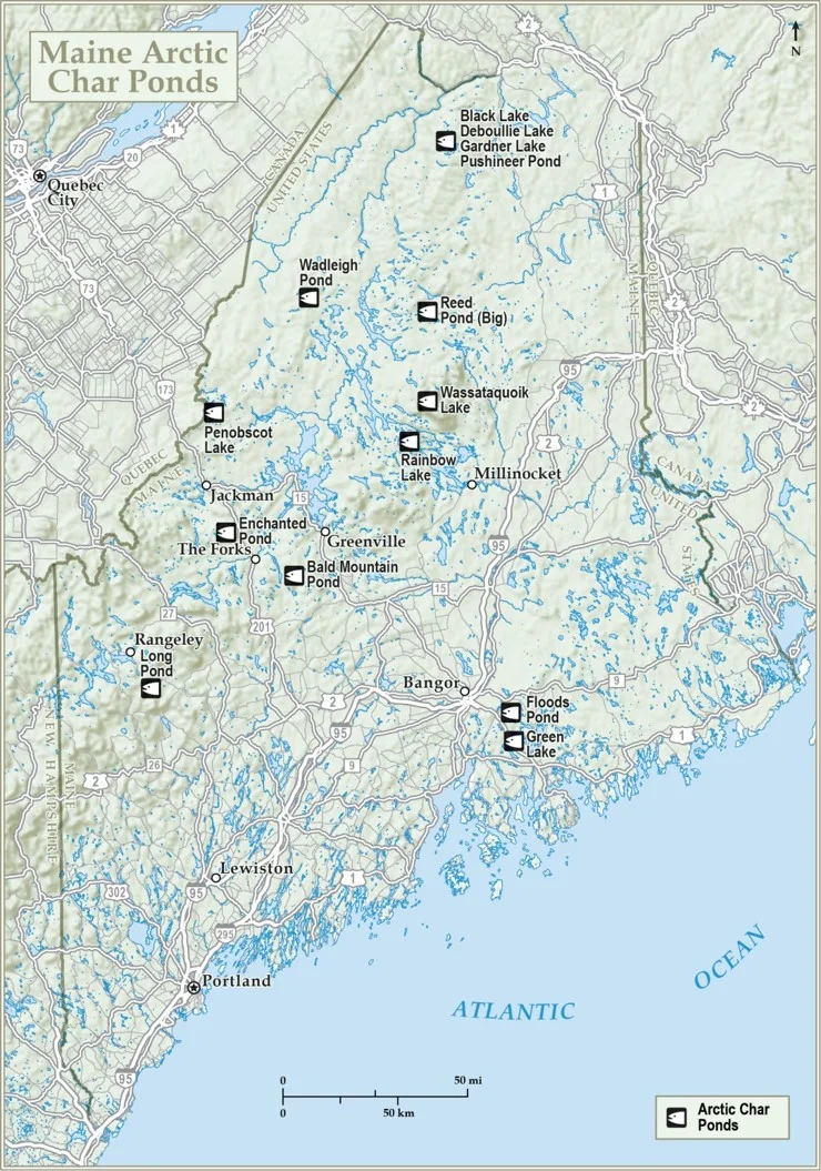 Picture1.jpg