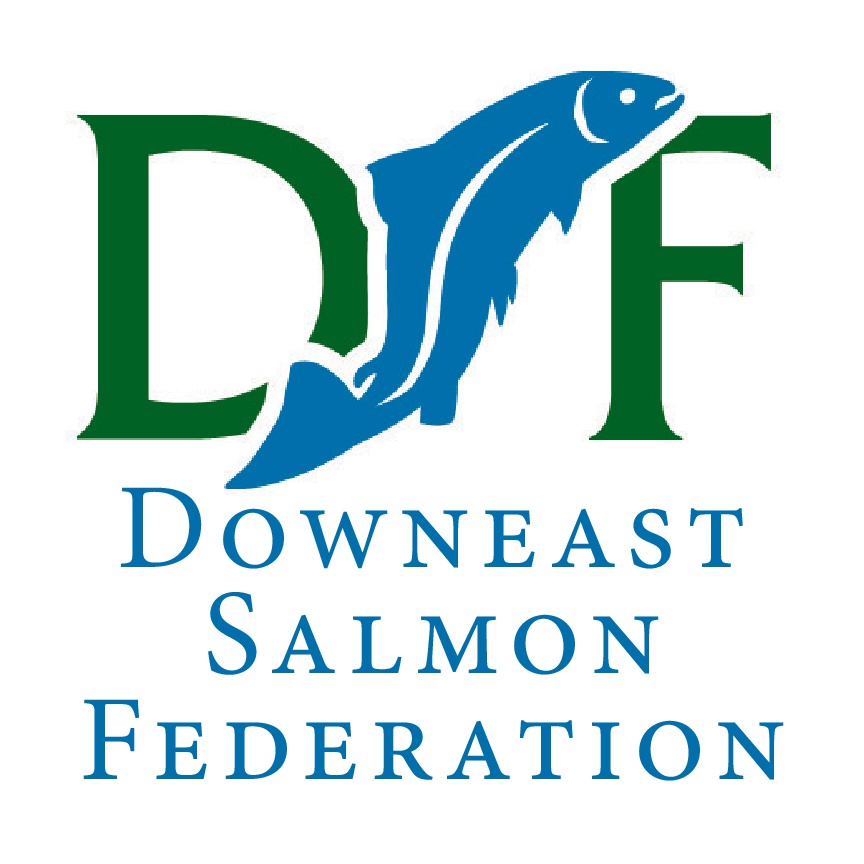 DSF logo.jpg