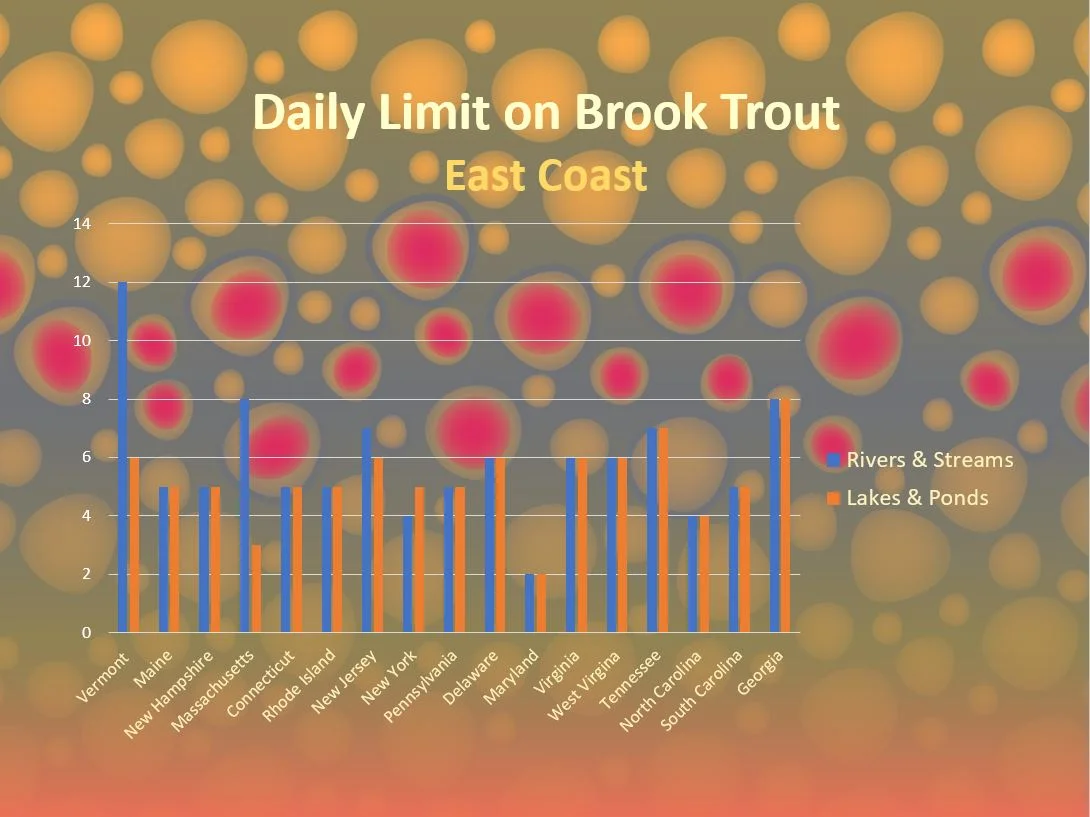 Vermont's Daily Limit on Brook Trout