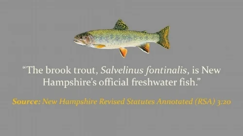 NH-Wild-Trout-Sign-Presentation-004.jpg