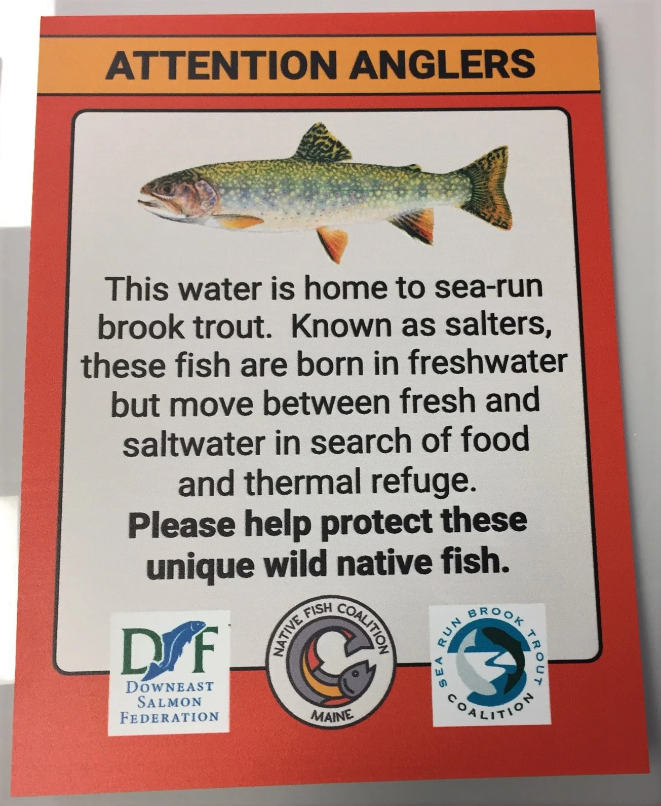Sea-Run Brook Trout Informational Sign Initiative