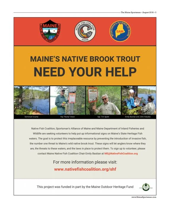 Maine State Heritage Fish Sign Ad