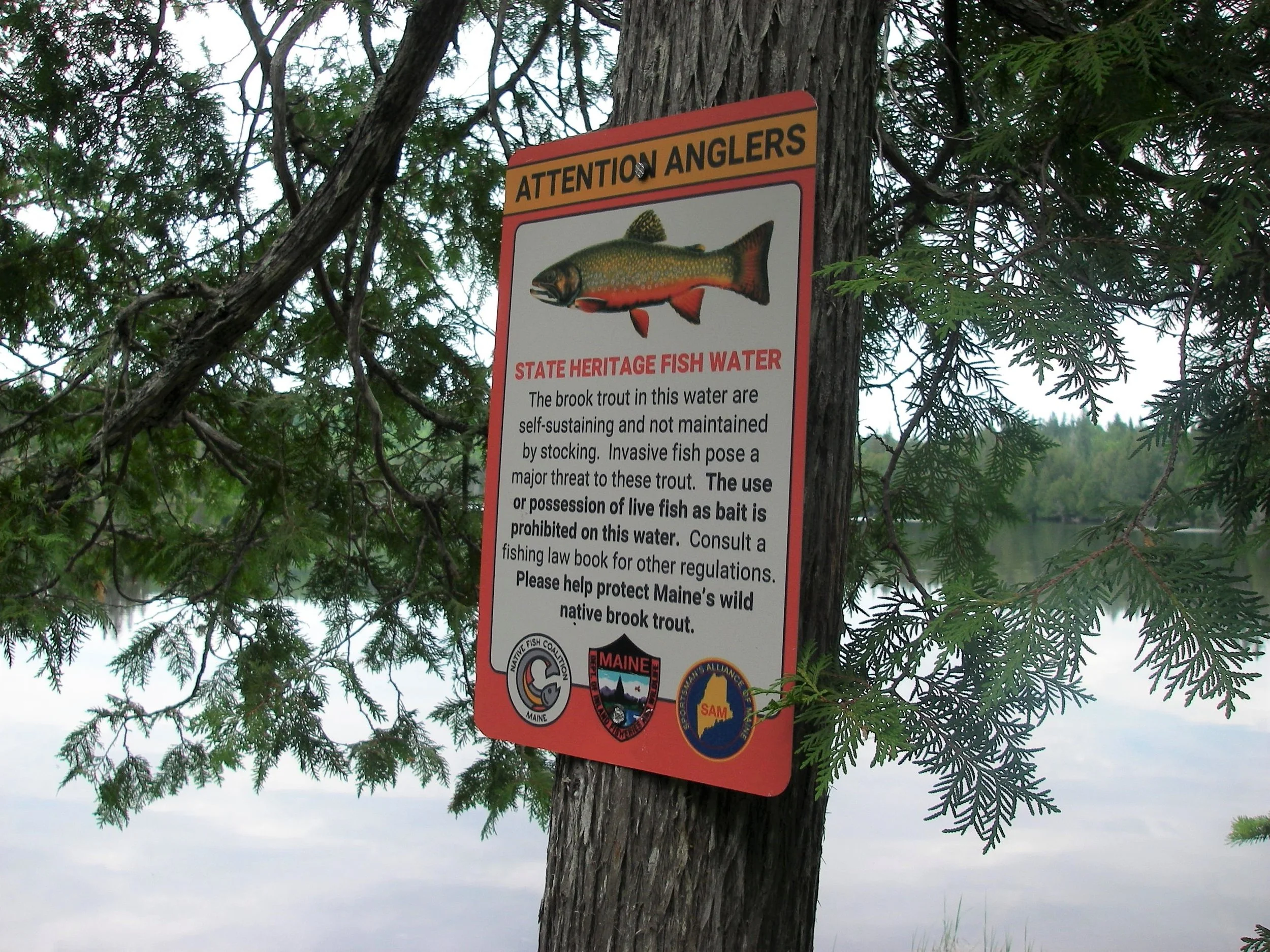 Maine State Heritage Fish Sign Initiative - Financial Sponsors