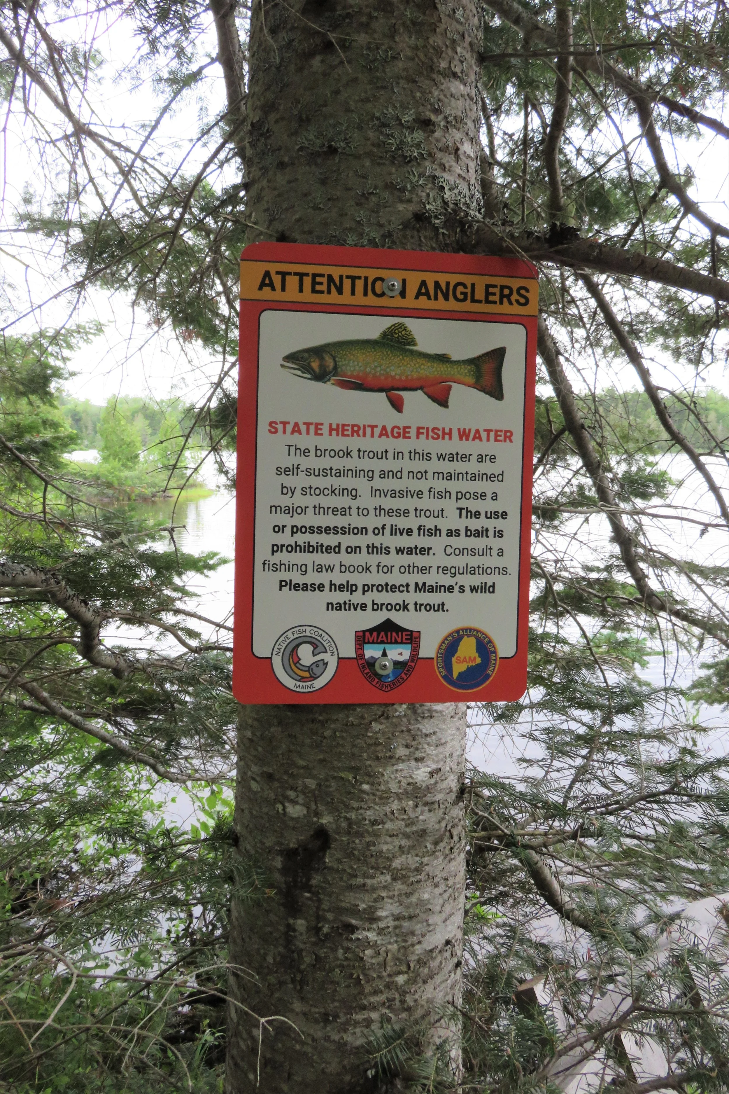 Maine State Heritage Fish Sign Initiative - Adopt a Sign or Pond 