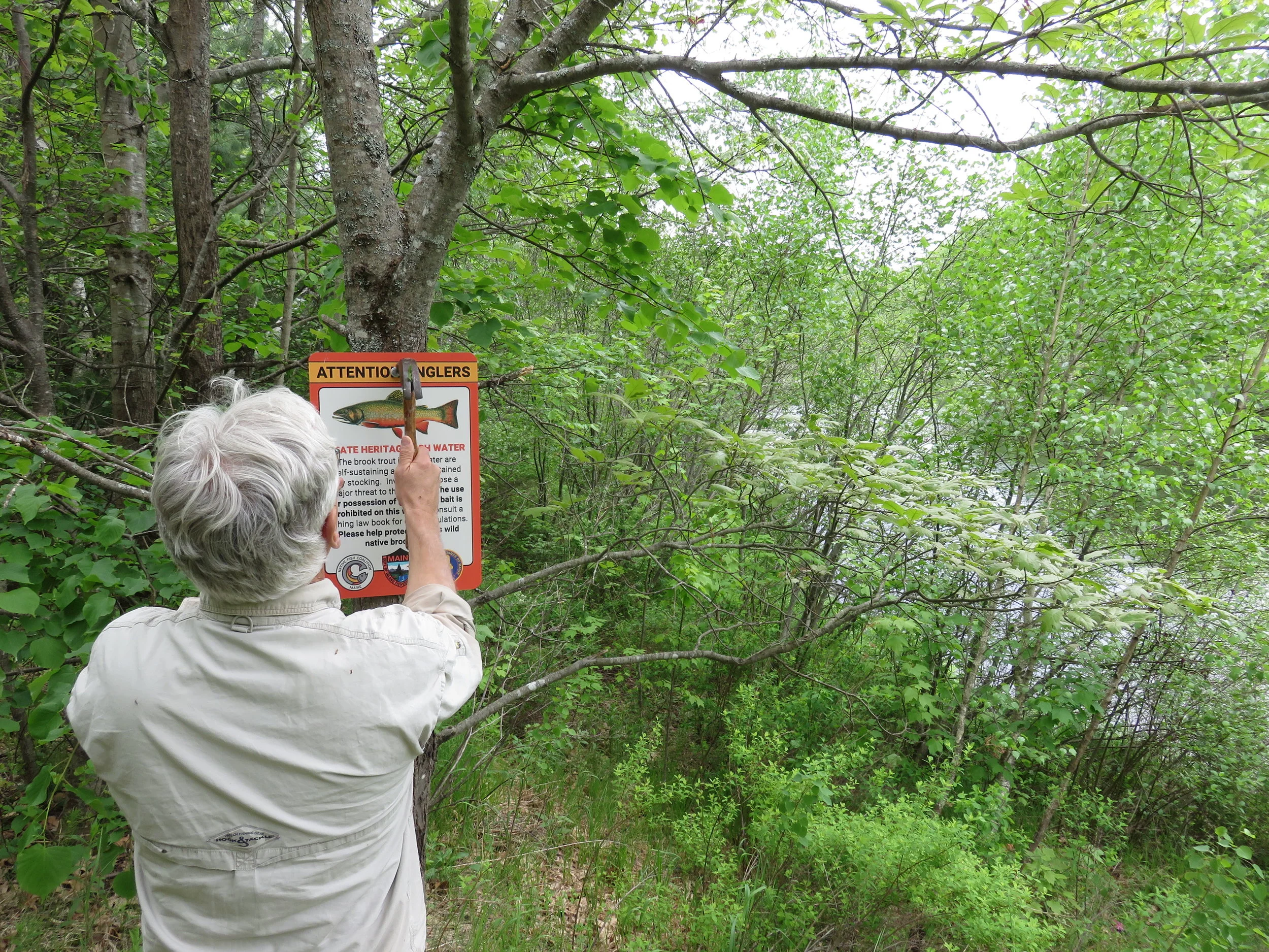 Maine F&amp;G Withdraws Proposal to Remove Coldwater Brook Pond and Henderson Pond from State Heritage Fish list