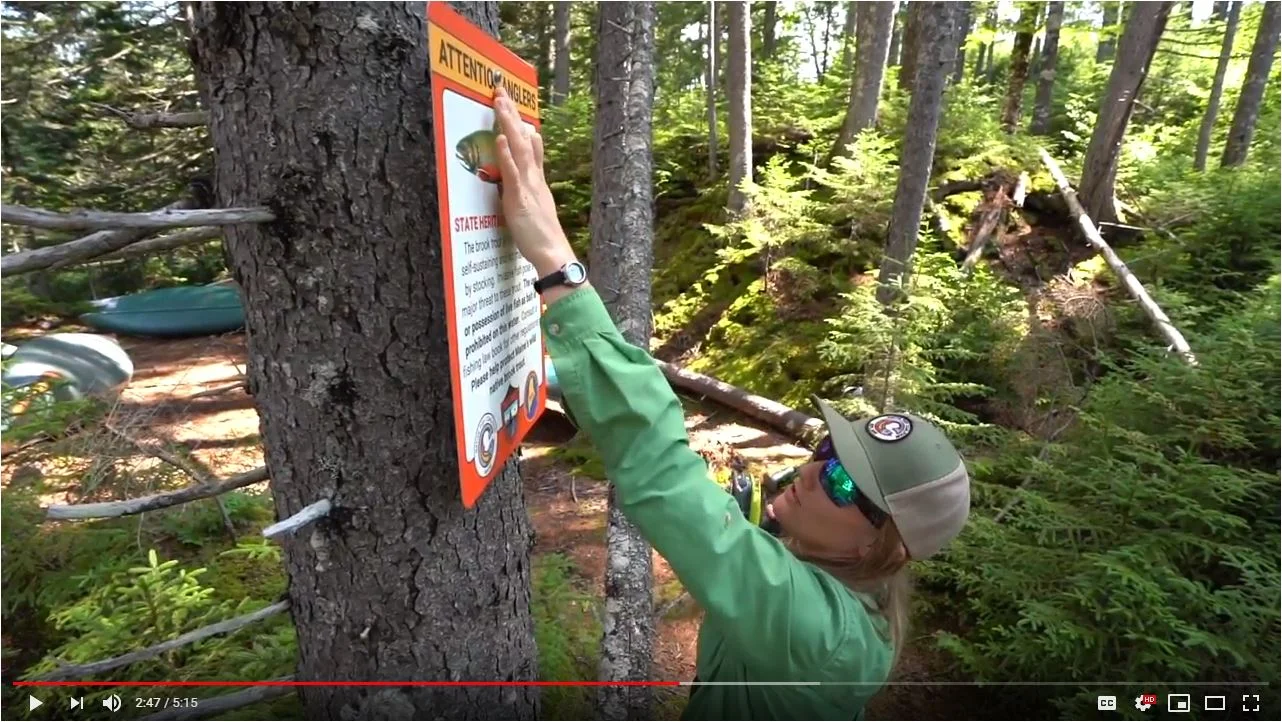 State Heritage Fish Sign Project Video