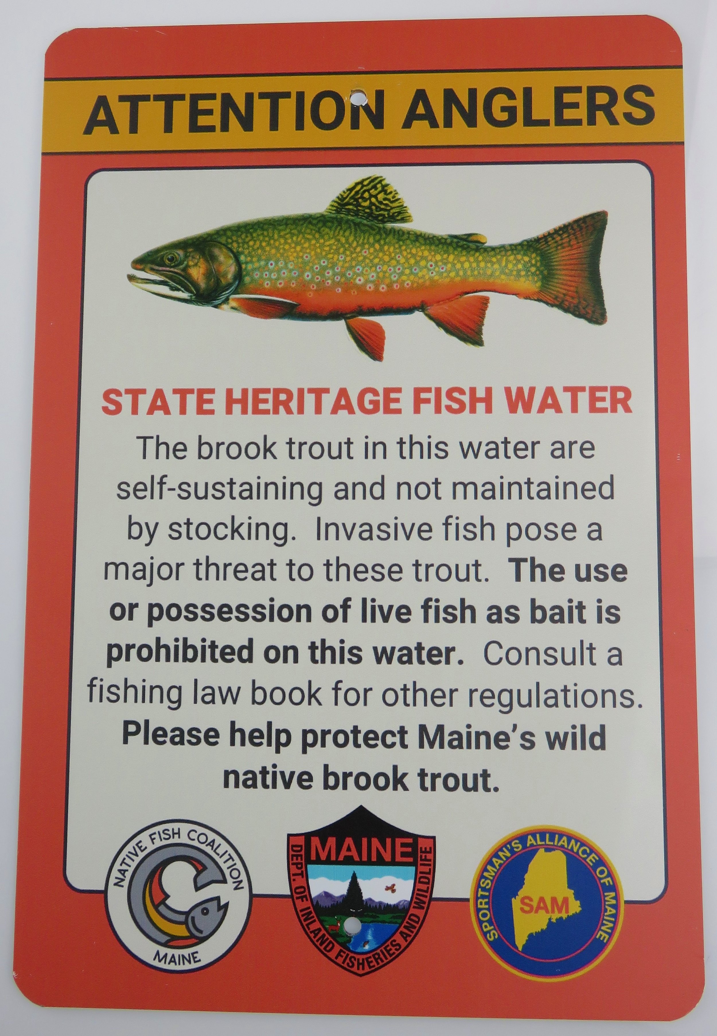 Brook Trout Sign.JPG