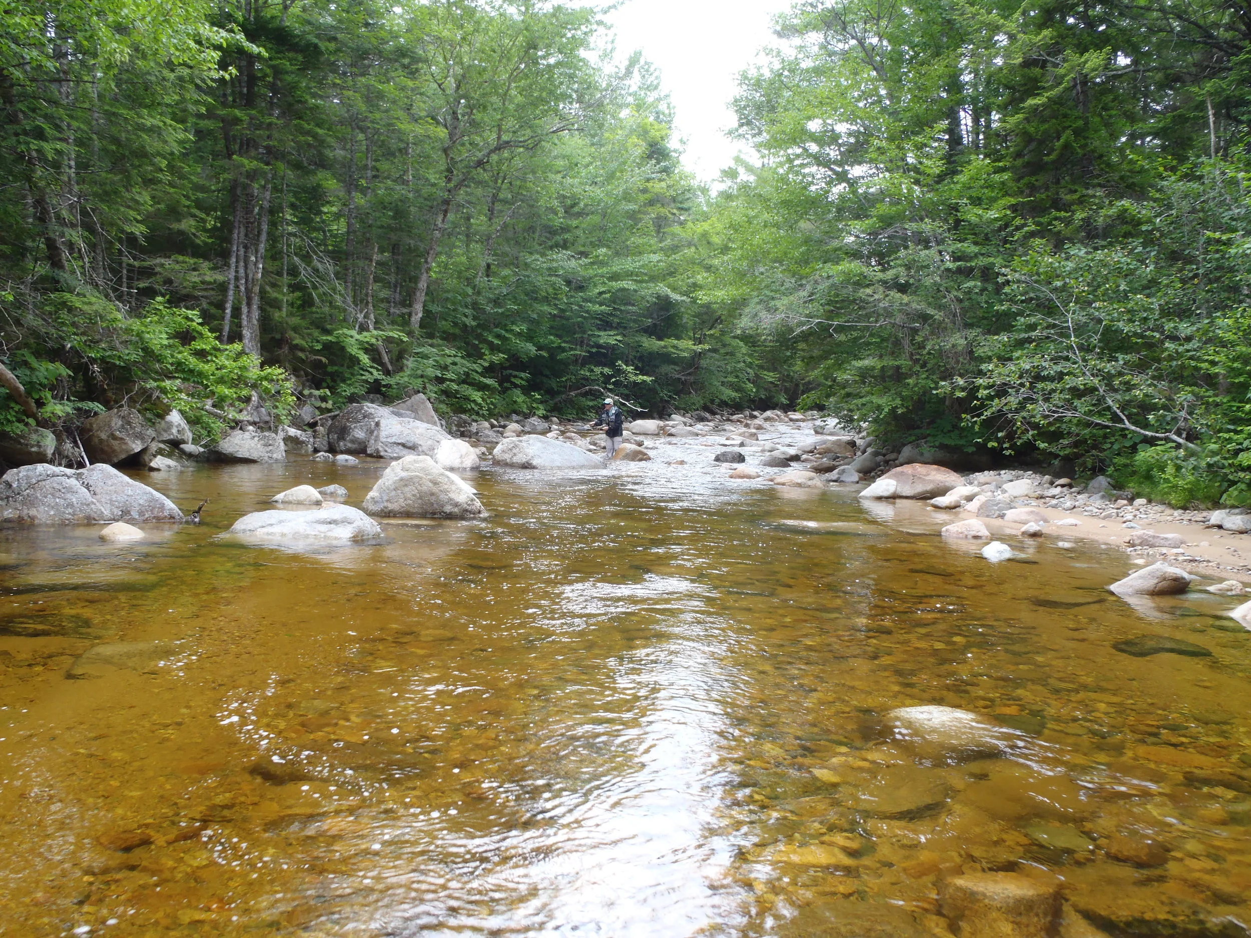 New Hampshire's Ammonoosuc River: A Symbol of Everything Wrong With Modern Fisheries Management