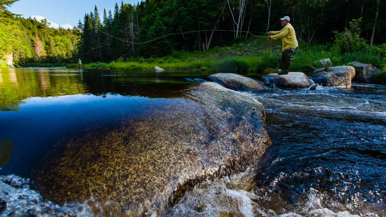 ME_Cold-Stream-Forest-Legacy-Program_Credit-Monkman-1260x708.jpg