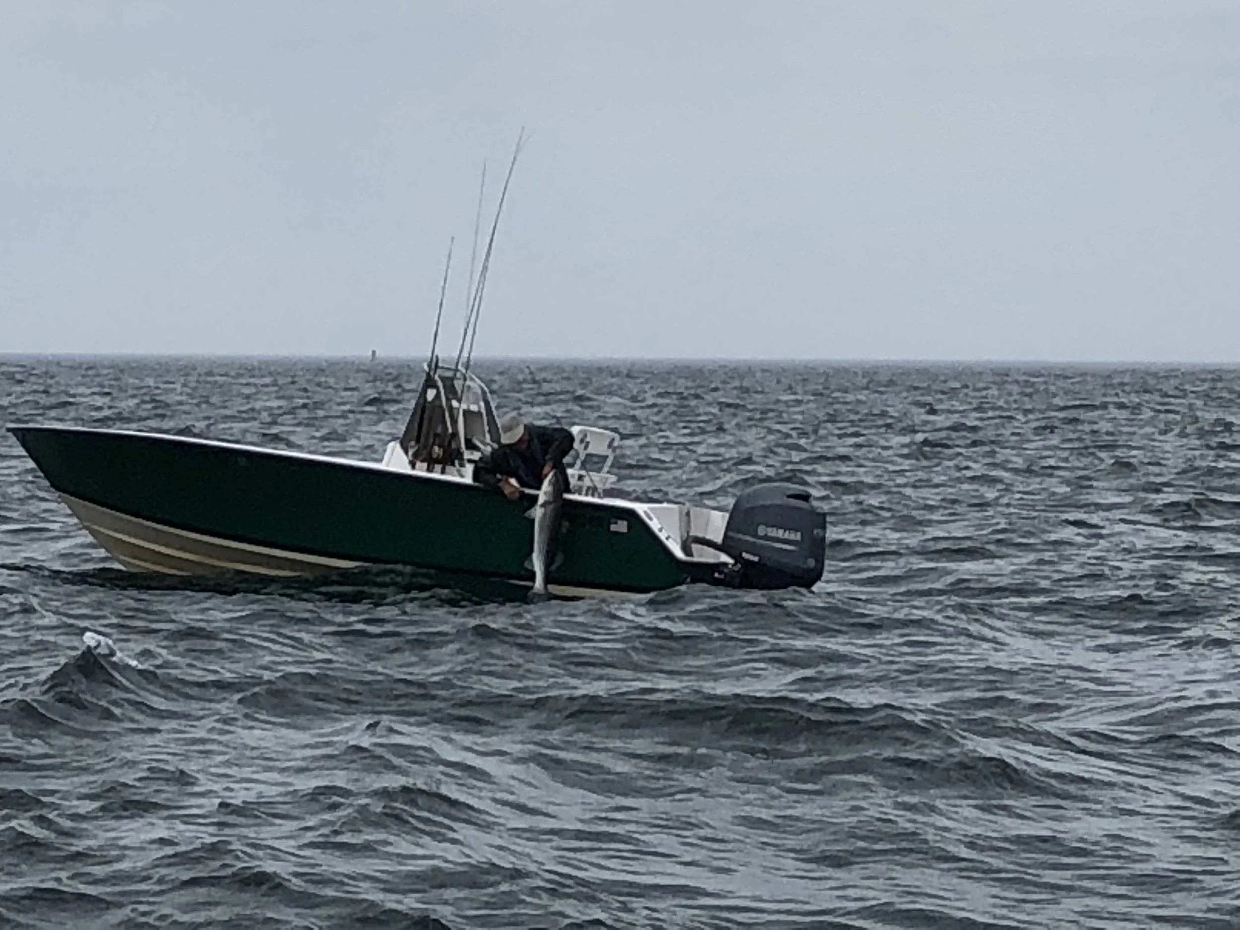 43 incher.jpg