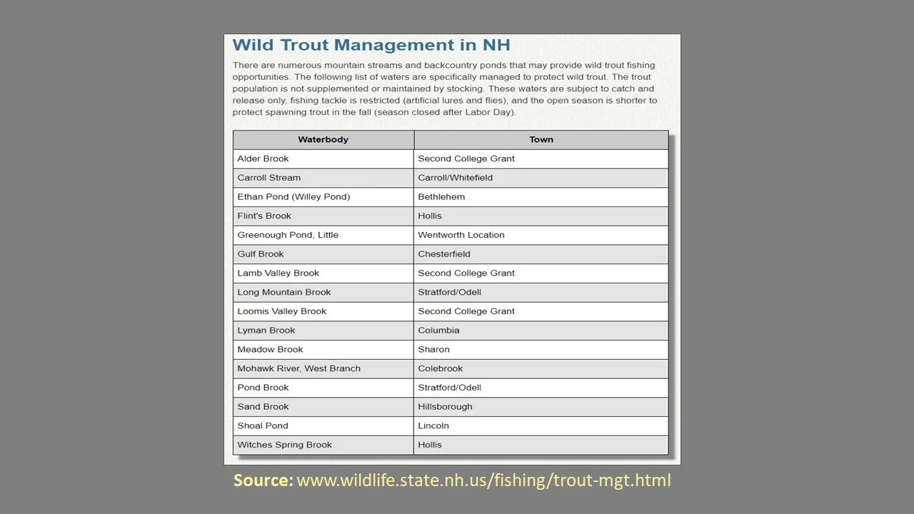 NH Trout Management Presentation 8.jpg
