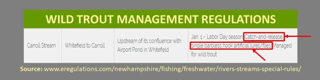 NH Trout Management Presentation 15.jpg