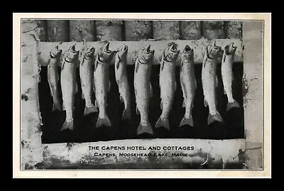 Dr-Jim-Stamps-Us-Fish-Capens-Hotel-Cottages.jpg