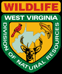 WV Logo.gif
