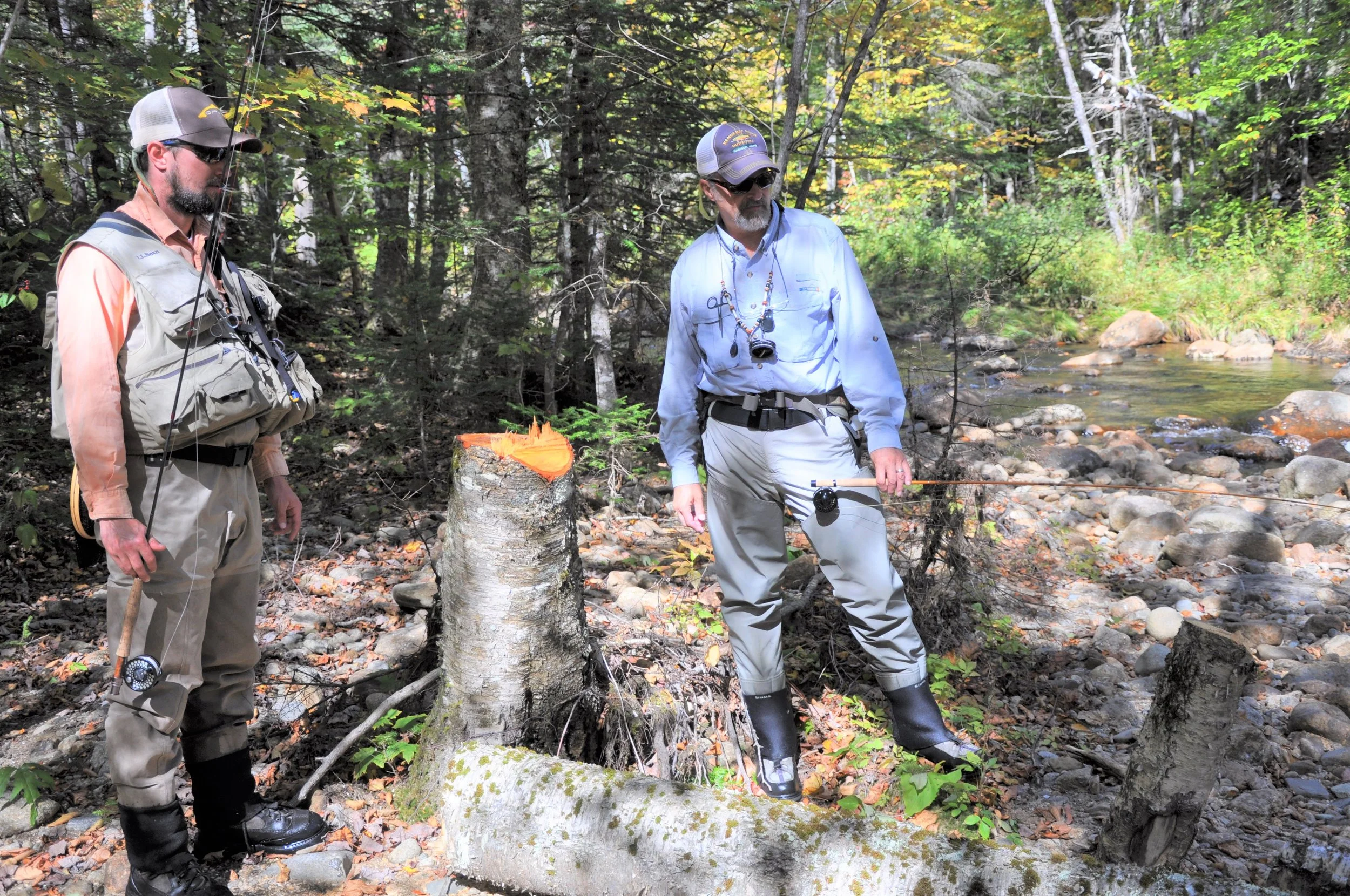 Habitat Work: NFC's Position