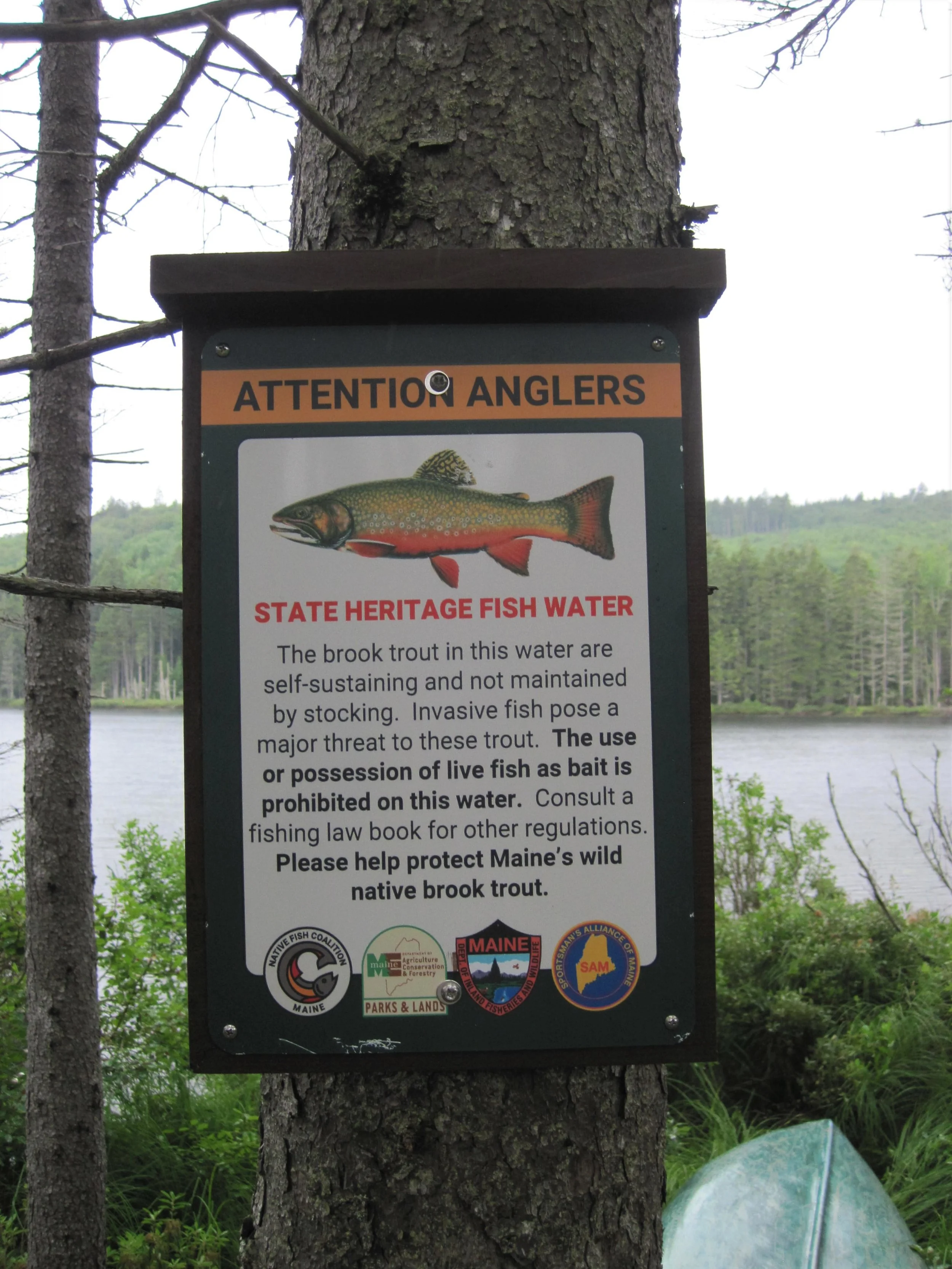 Cold Stream Forest Gets State Heritage Fish Signs