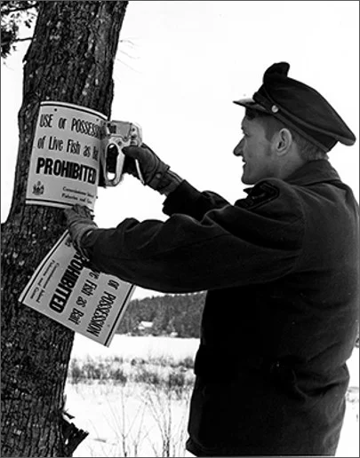 No live fish as bait’ is now the default rule in northern Maine