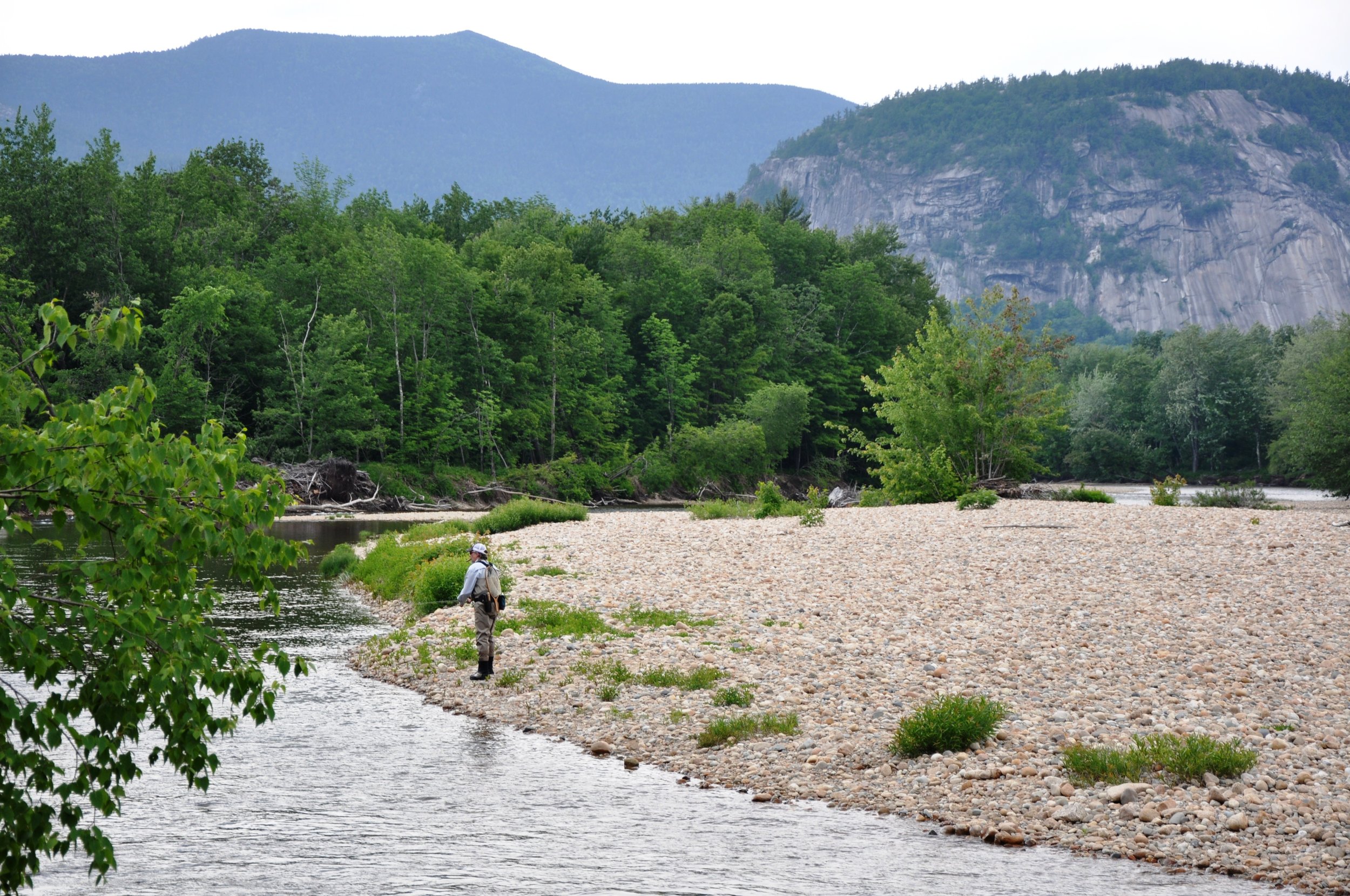 New Hampshire's Saco River: We Deserve Better — Native Fish Coalition