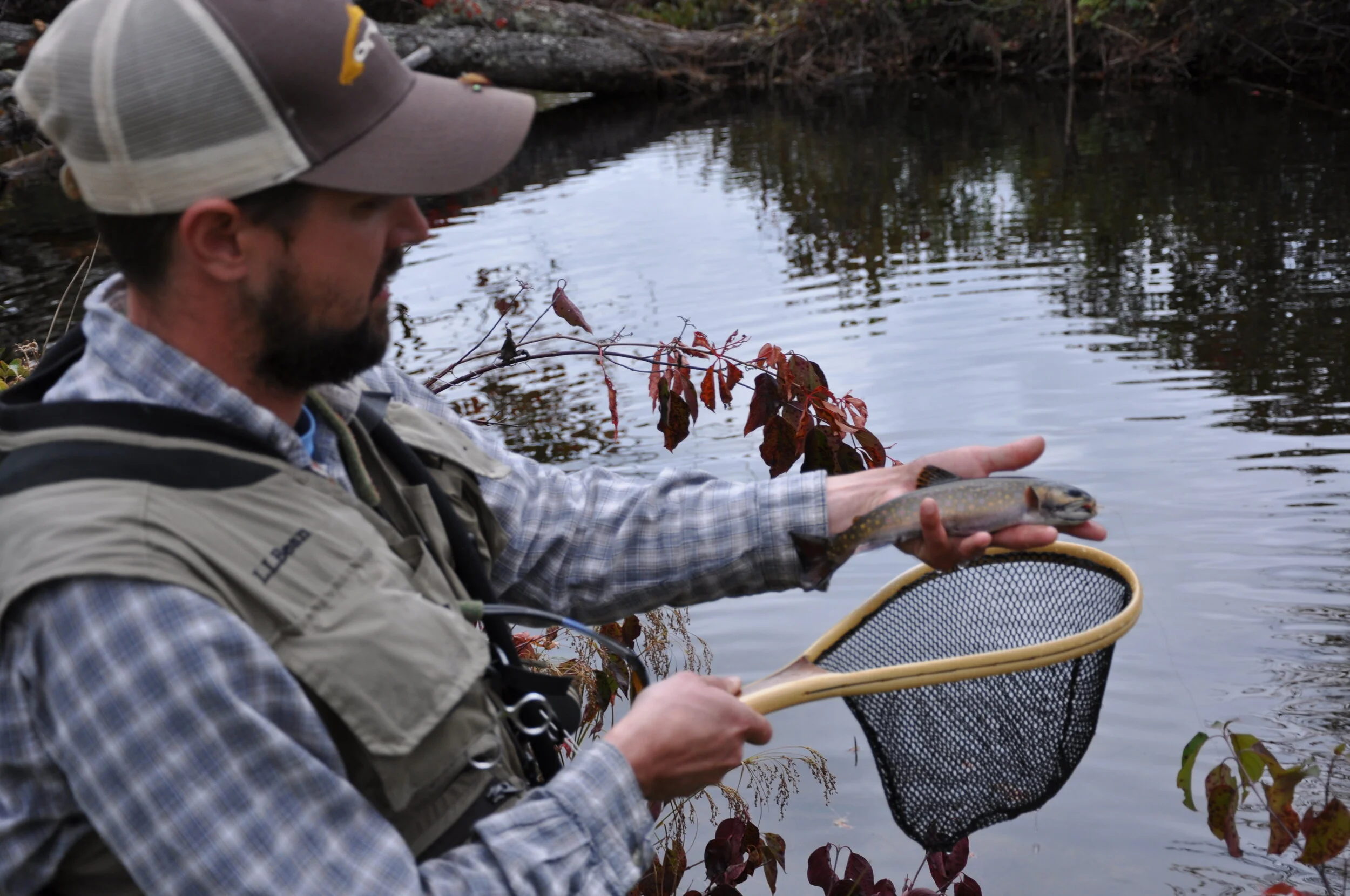 NH NFC Chair Nate Hill Chimes in on State of Trout Management in NH 