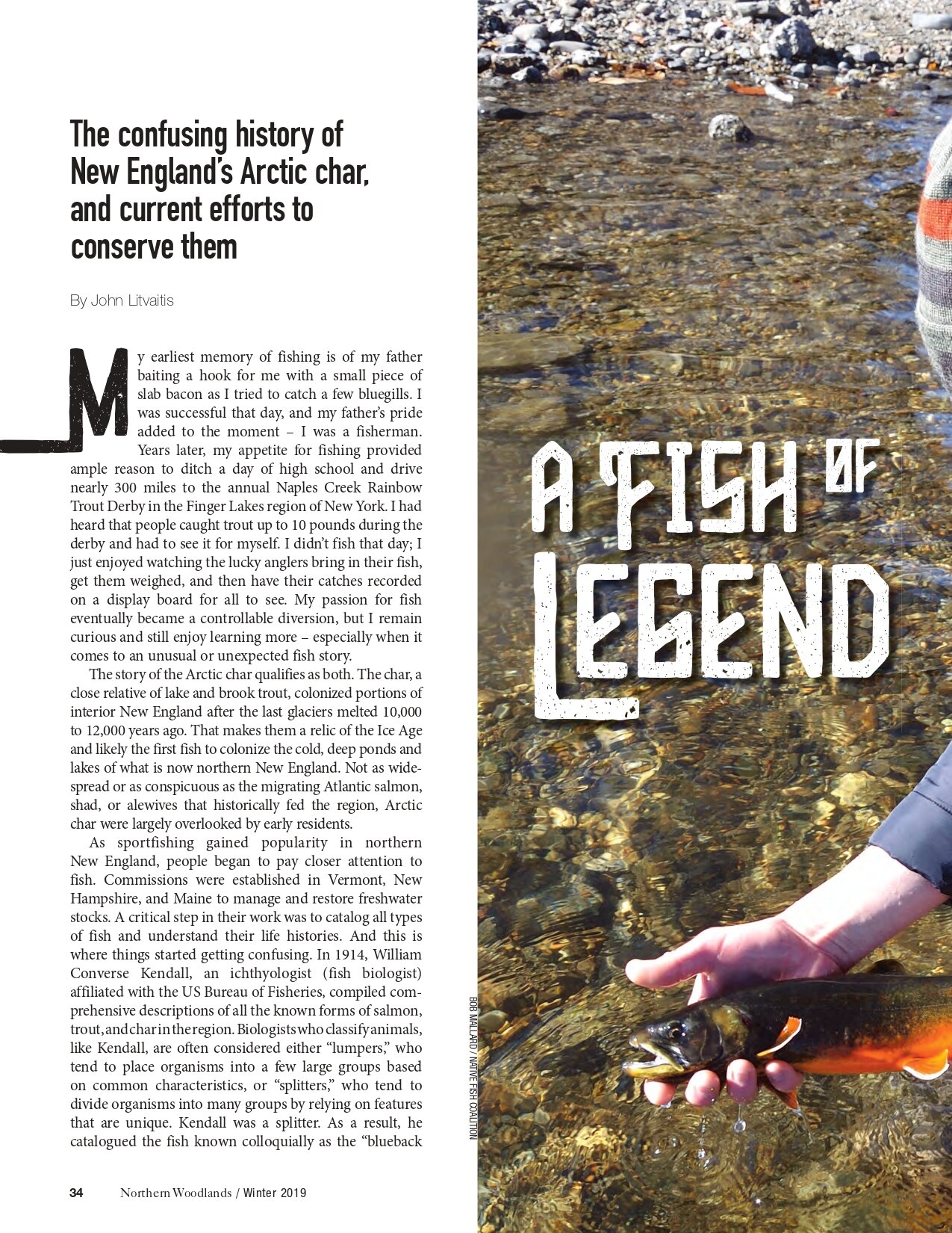 Litvaitis 2019 - A fish of legend_page-0001.jpg